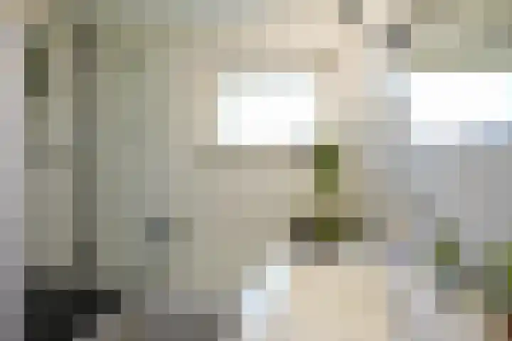 Berkenlaan 20 Geleen thumbnail 21