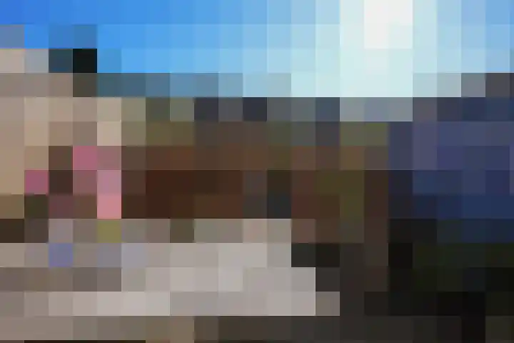 Berkenlaan 20 Geleen thumbnail 24
