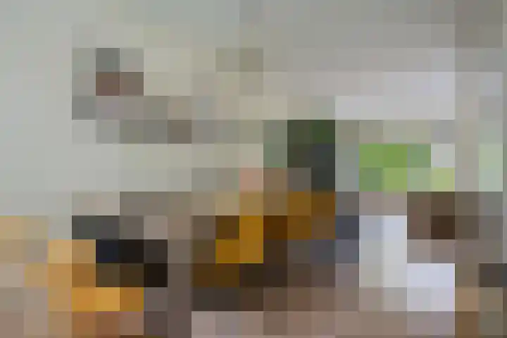 Berkenlaan 21 Peize thumbnail 10