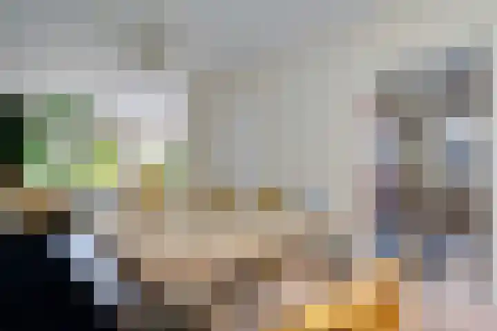 Berkenlaan 21 Peize thumbnail 11