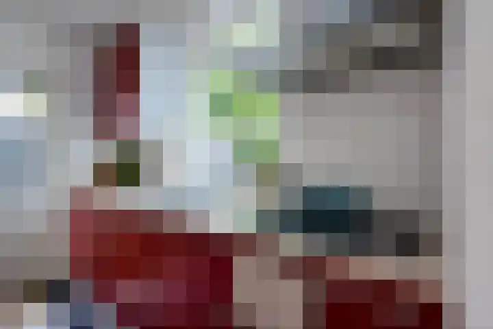 Berkenlaan 21 Peize thumbnail 13