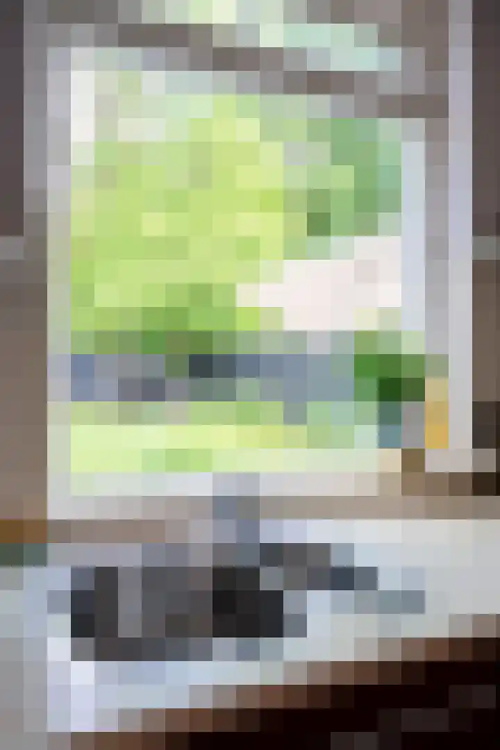 Berkenlaan 21 Peize thumbnail 15