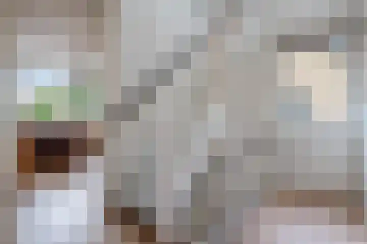 Berkenlaan 21 Peize thumbnail 16
