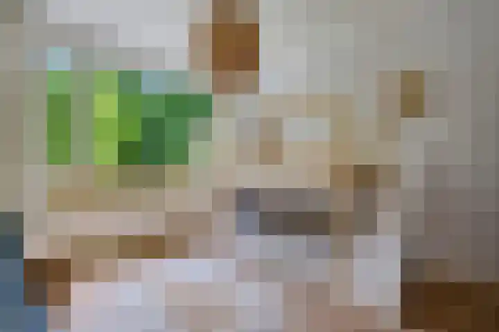 Berkenlaan 21 Peize thumbnail 17