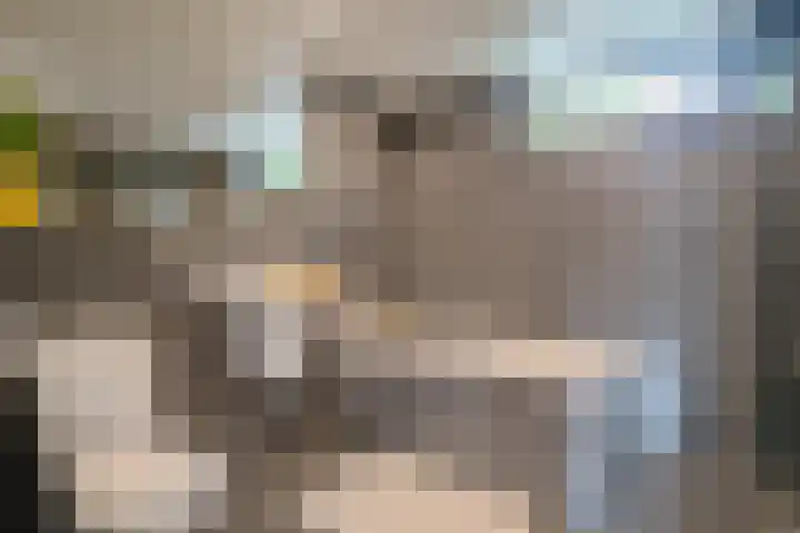 Berkenlaan 21 Peize thumbnail 19