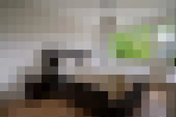 Berkenlaan 21 Peize thumbnail 21