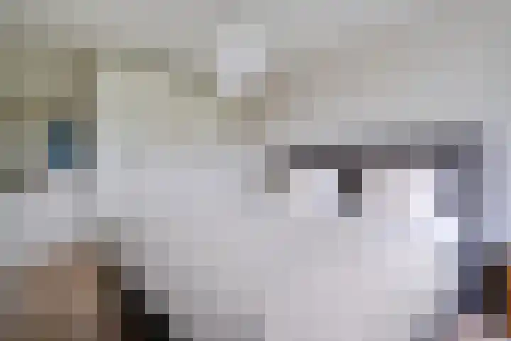Berkenlaan 21 Peize thumbnail 22