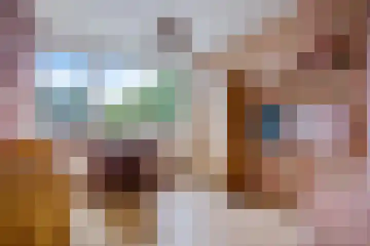 Berkenlaan 21 Peize thumbnail 23