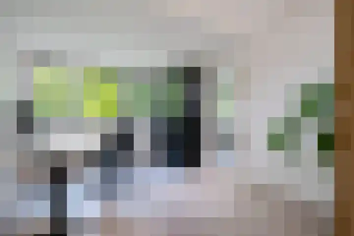 Berkenlaan 21 Peize thumbnail 27