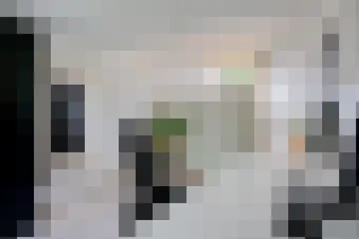 Berkenlaan 21 Peize thumbnail 28
