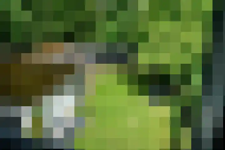 Berkenlaan 21 Peize thumbnail 29