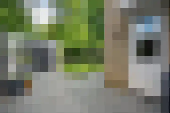 Berkenlaan 21 Peize thumbnail 30