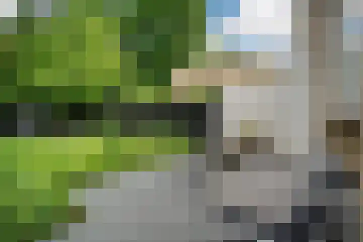 Berkenlaan 21 Peize thumbnail 31