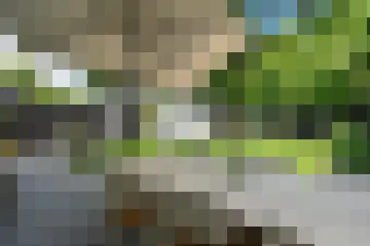 Berkenlaan 21 Peize thumbnail 32