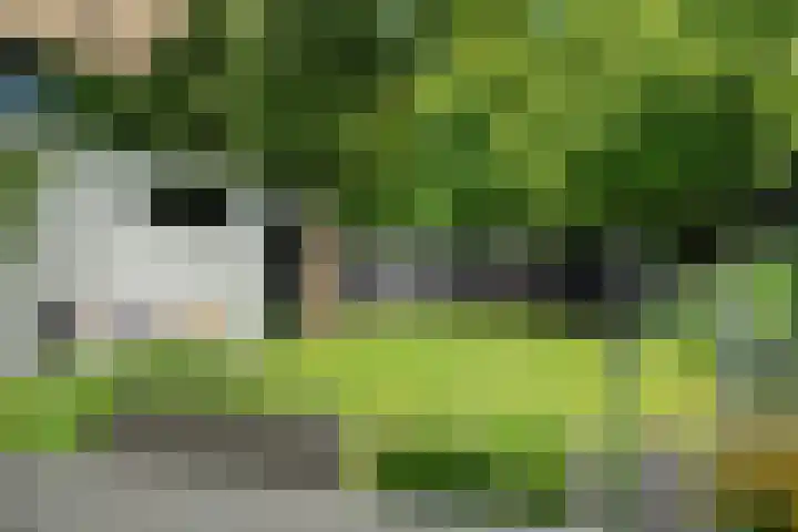 Berkenlaan 21 Peize thumbnail 33