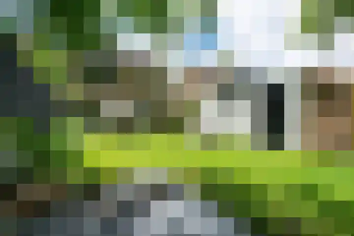 Berkenlaan 21 Peize thumbnail 34