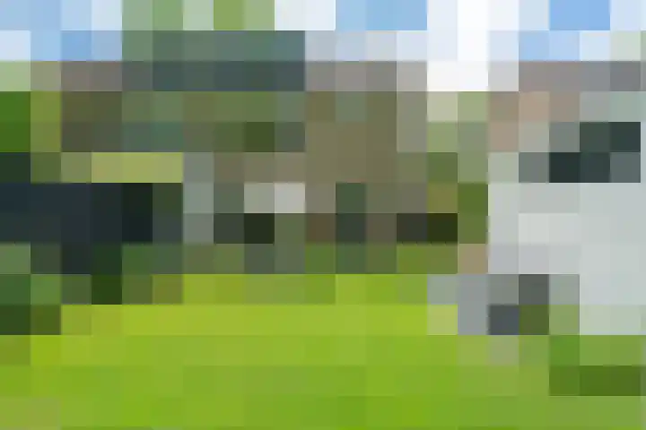 Berkenlaan 21 Peize thumbnail 35