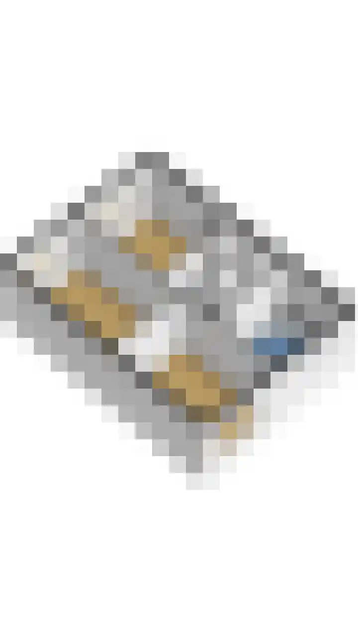 Berkenlaan 21 Peize thumbnail 39