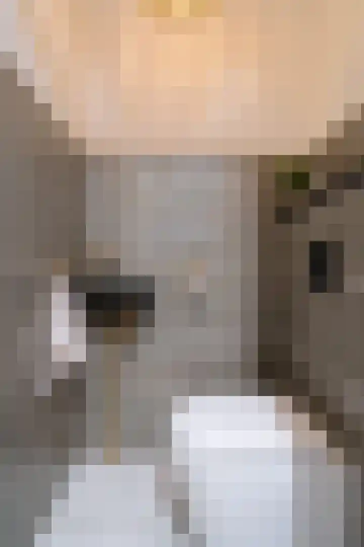 Berkenlaan 21 Peize thumbnail 5