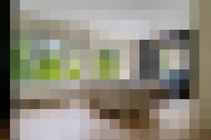 Berkenlaan 21 Peize thumbnail 6