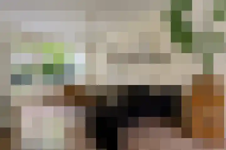 Berkenlaan 21 Peize thumbnail 7