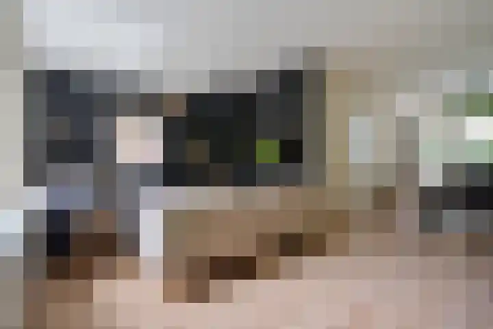 Berkenlaan 21 Peize thumbnail 8