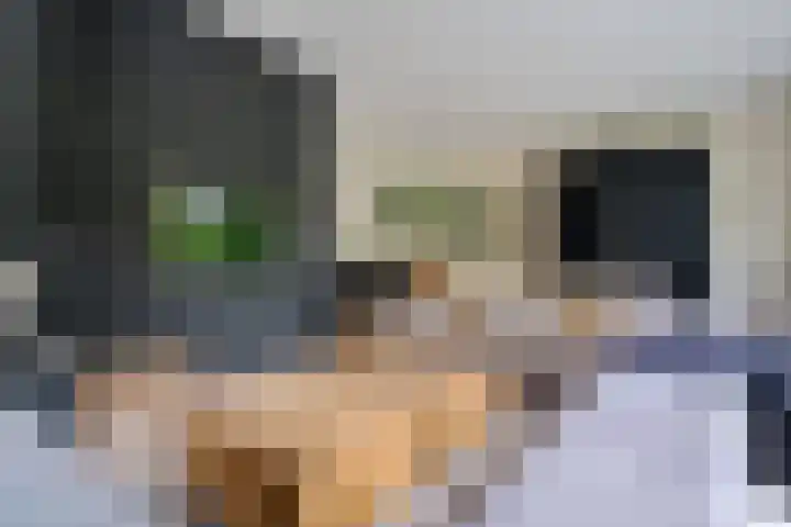Berkenlaan 21 Peize thumbnail 9