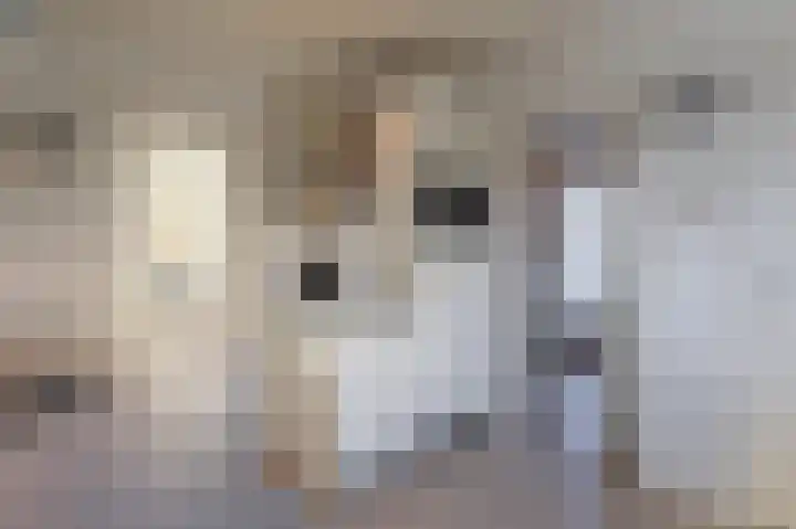 Berkenlaan 21 Tynaarlo thumbnail 11
