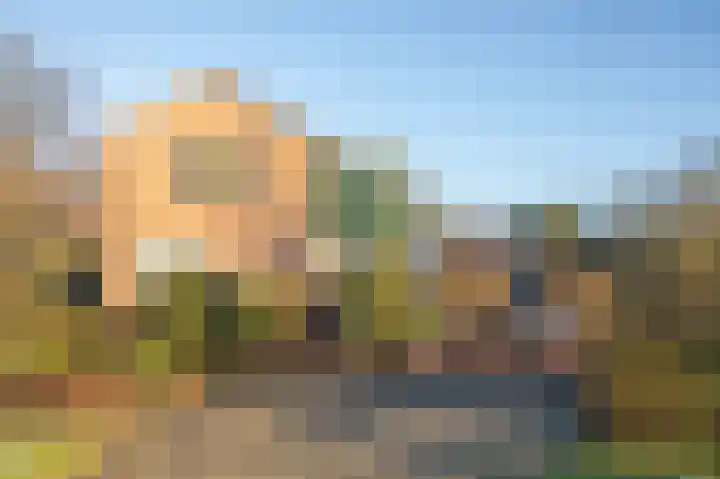 Berkenlaan 21 Tynaarlo thumbnail 35