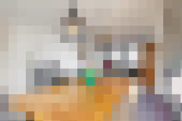 Berkenlaan 22 Sittard thumbnail 16