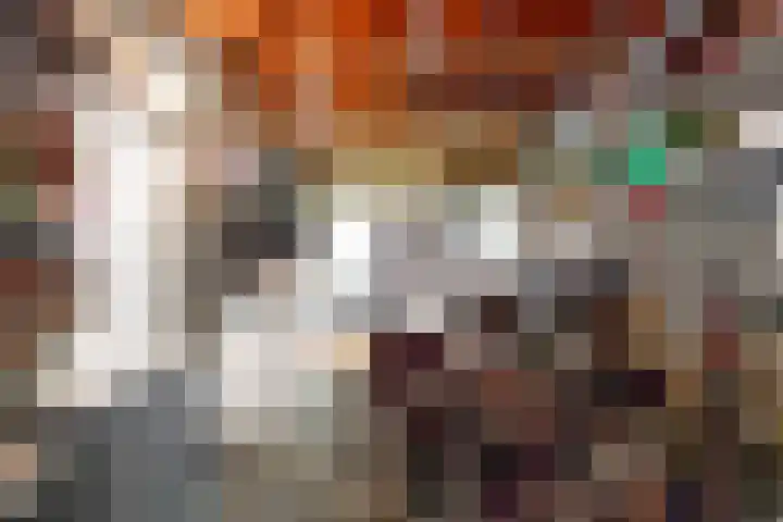 Berkenlaan 22 Sittard thumbnail 33