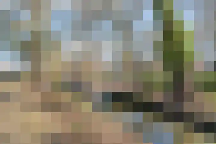 Berkenlaan 22 Sittard thumbnail 40