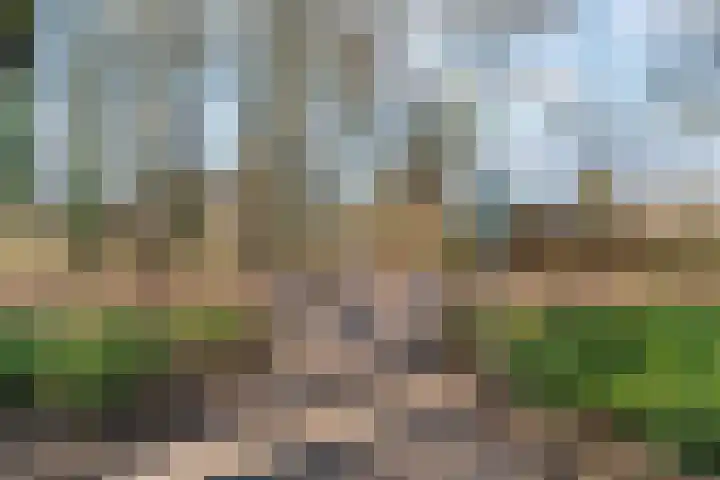 Berkenlaan 22 Sittard thumbnail 41