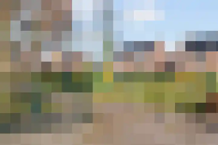Berkenlaan 22 Sittard thumbnail 42
