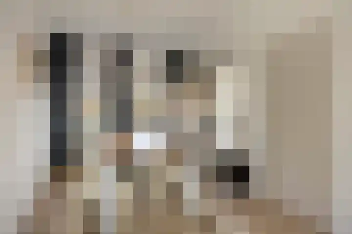 Berkenlaan 231 Zutphen thumbnail 11