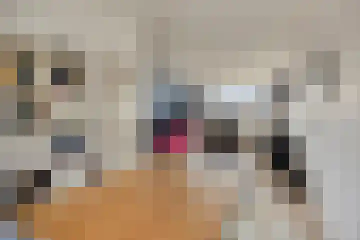 Berkenlaan 231 Zutphen thumbnail 12