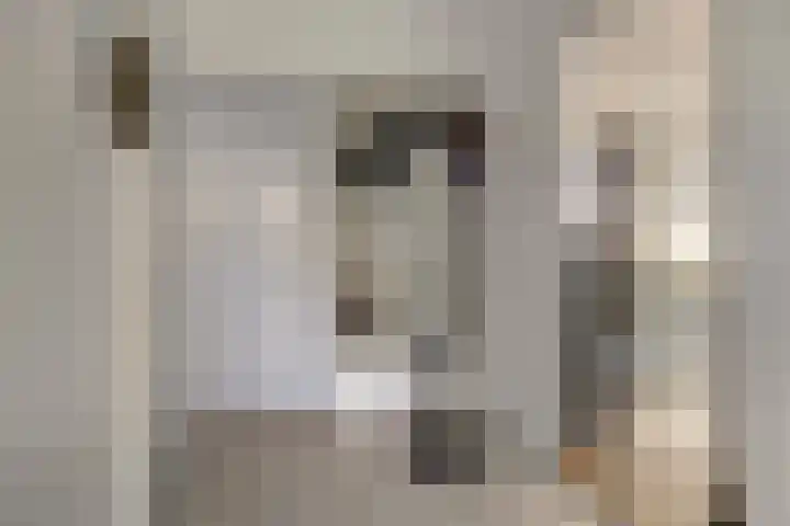 Berkenlaan 231 Zutphen thumbnail 13