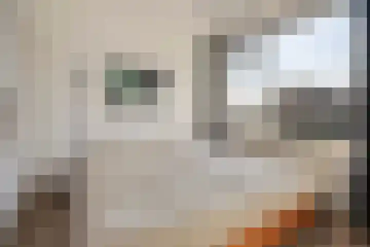 Berkenlaan 231 Zutphen thumbnail 19