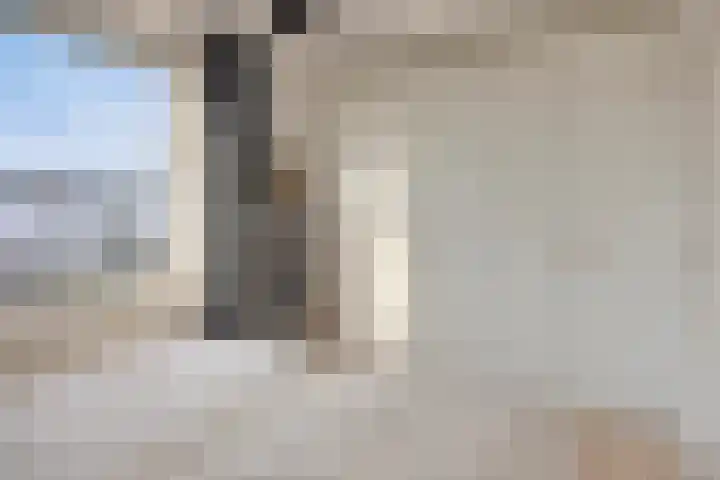 Berkenlaan 231 Zutphen thumbnail 20