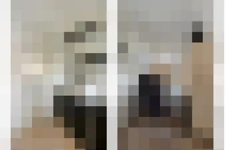 Berkenlaan 231 Zutphen thumbnail 23