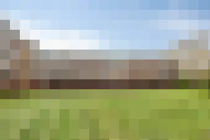 Berkenlaan 231 Zutphen thumbnail 32