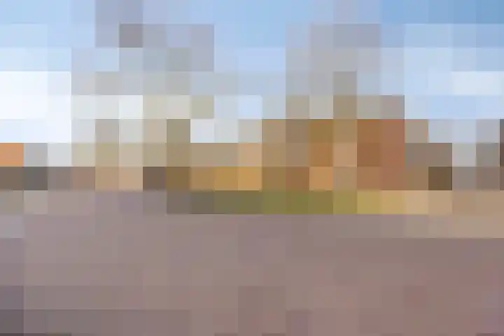 Berkenlaan 231 Zutphen thumbnail 35