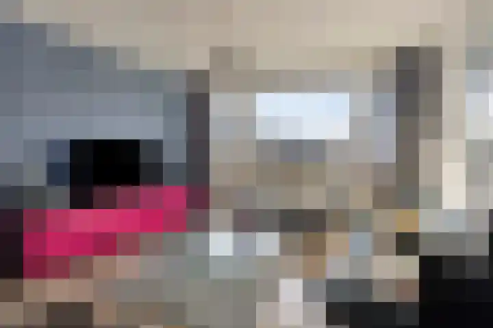 Berkenlaan 231 Zutphen thumbnail 7