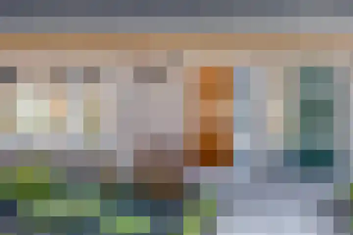 Berkenlaan 24 Meeden thumbnail 10