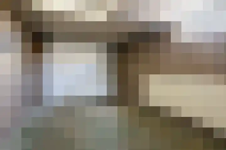 Berkenlaan 24 Meeden thumbnail 26