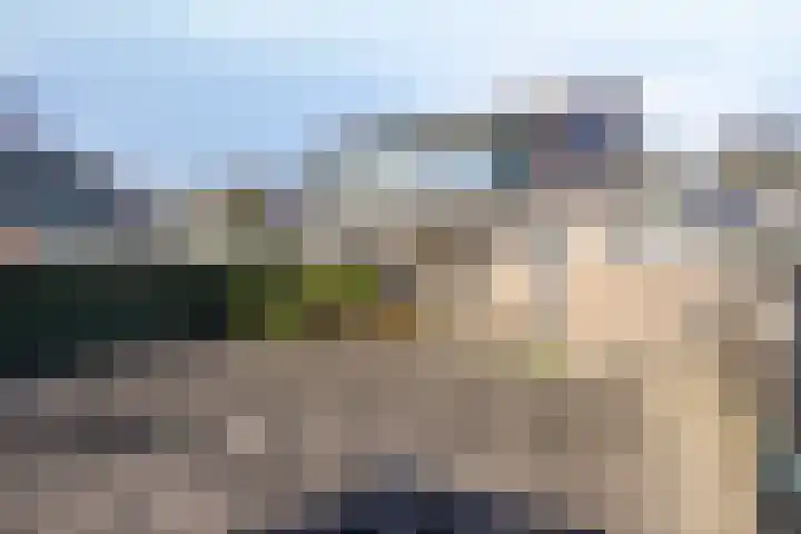 Berkenlaan 24 Meeden thumbnail 39