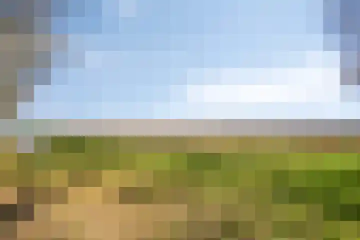 Berkenlaan 24 Meeden thumbnail 42