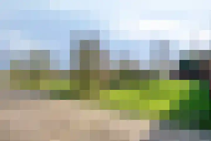 Berkenlaan 24 Meeden thumbnail 43
