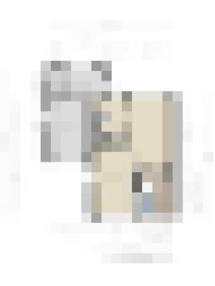 Berkenlaan 24 Meeden thumbnail 45