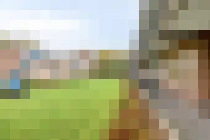Berkenlaan 253 Zutphen thumbnail 20